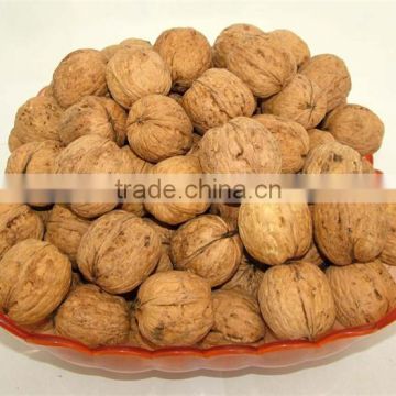2015 new harvest walnuts for sell