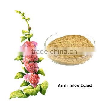 100% Pure Althaea Officinalis Leaf Powder