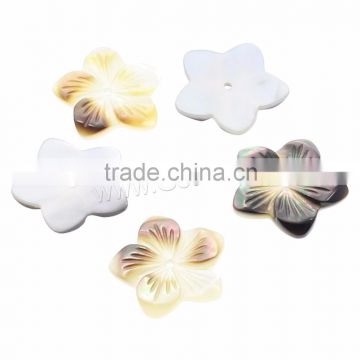 Mix color Natural Freshwater Shell Beads