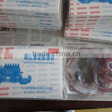 LongKou Pump Gasket Kit for Longkou BHT6P120R Pump