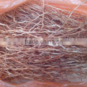 Vetiver root glass