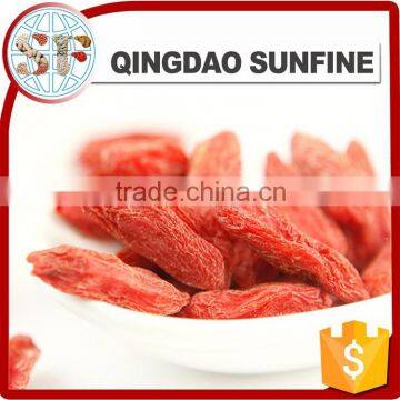 The conventional barbarie goji berry from Ningxia origin