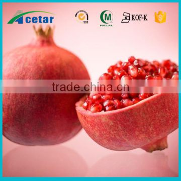 natural health products Pomegranate shopping from china