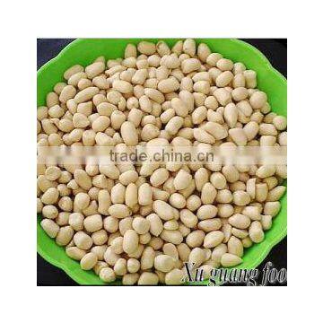 long type good quality blanched peanut