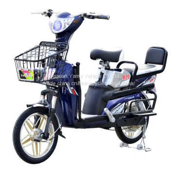 factory directly electric bike electric bicycle with lead acid battery