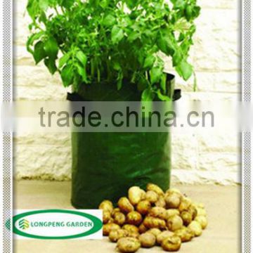 Most Pouplar Patio Potato Planter Bag