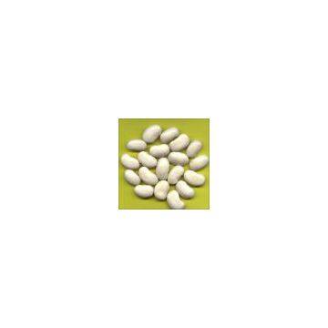 White kidney bean extract