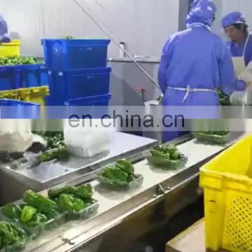 Chinese factory  fresh vegetable and fruit bag packaging machine with tray