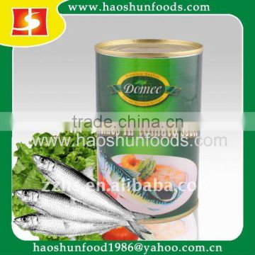 Canned Mackerel Fish in Tomato Sauce