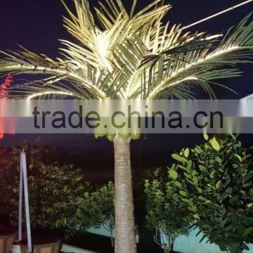 Acrylic Christmas Led Light Tree Outdoor Coconut Palm Tree LED Lights