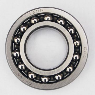 Black-coated Adjustable Ball Bearing 7813E/33113X2 40x90x23