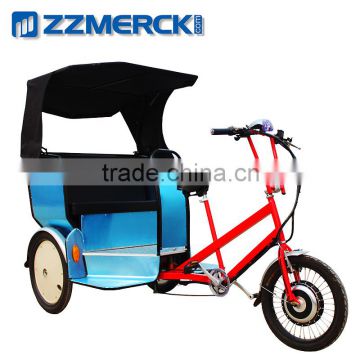 Personal or Customer Rain Cover Adult Rickshaw