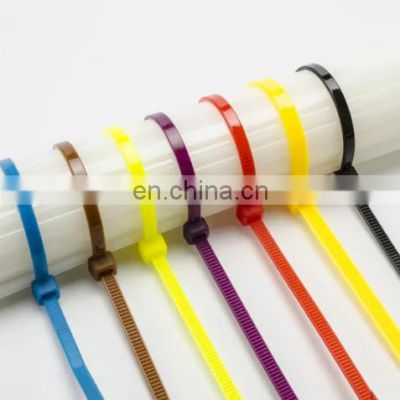 100 Pcs/Bag High Quality Full Size Nylon 66 Self Locking Cable Tie Plastic Fasteners