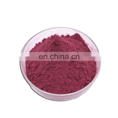 Factory Supply Black Currant 25% Anthocyanin Organic Extract
