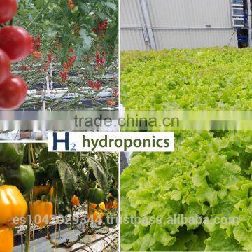 Equipment for Vertical Farming, Hydroponic NFT and Hydroponic Systems