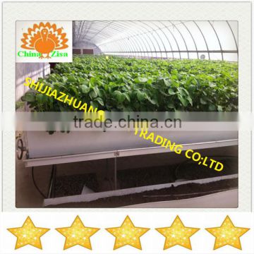 HDPE vegetables greenhouse growing tray