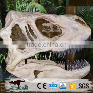 OA-SD-L02 Original Jurassic Skeleton Real Size Dinosaur Head Fossils