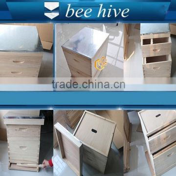 assembled beehives