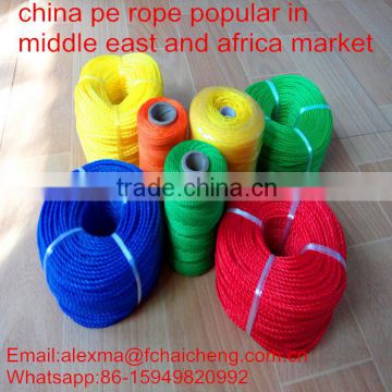 Middle East & Africa hot sales twisted pe rope