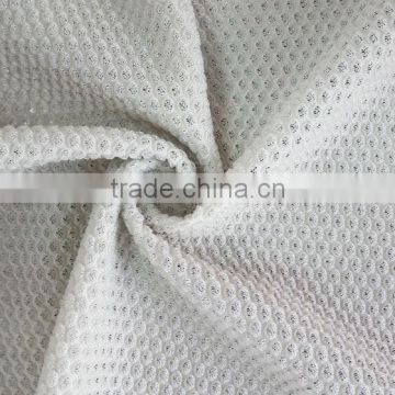Elastic Mesh Fabric