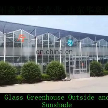 Agricultural large glass greenhouse with hydroponic growing systems