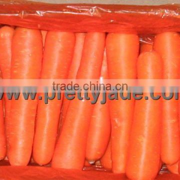 Chinese fresh carrot for export