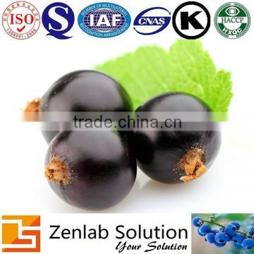 black currant extract with anthocyanidins