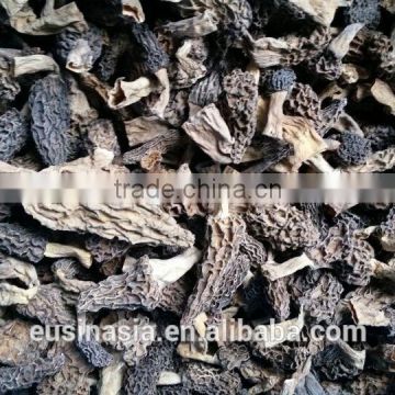 fresh frozen morchella conica mushroom wild mushroom