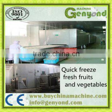 SSD IQF tunnel quick freezer