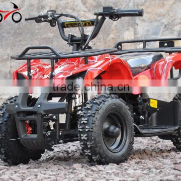 cheap 800W Mini Electric Quad ATV for kids