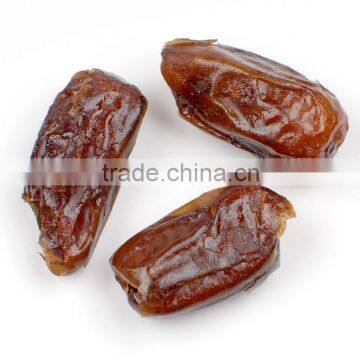 Golden Date Palm