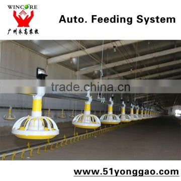 poultry equipment in animal feeder