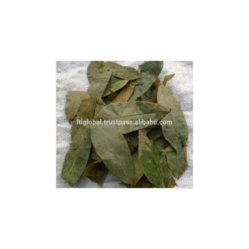 DRIED SOURSOP LEAVES