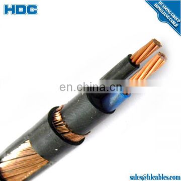 Low Voltage 2x6mm2 Nycy Power Cable Copper Conductor Wire XLPE/SWA/PVC Power Cable