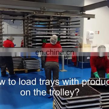 High efficient mealworms freeze dryer manufacture for pet food