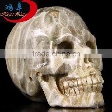 Natural mineral coral fossil skeleton skull head pieces of colored stone carving handicraft press of the hand