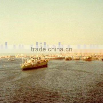 GUANGZHOU/SHENZHEN/FOSHAN/SHANGHAI/NINGBO/HONGKONG TO PORT SAID ( shipping service for LCL and FCL )-----kelly