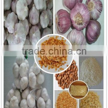 Certified GAP/ KOSHER/ HALAL Chinese New crop Fresh Garlic Knoblauch