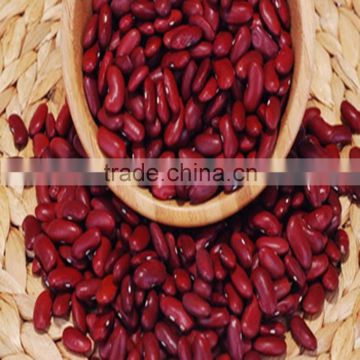 JSX Competitive price red speckled beans peeled large and small size sparkled kidney beans