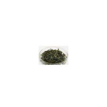 Green Tea Catechins & Polyphenols