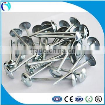 hot sell high quality twisted umbrella roofing nails with washer from factory in China