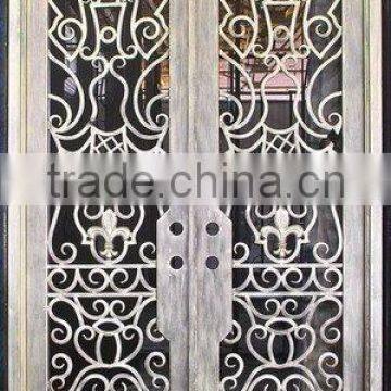 Securirty Iron Door