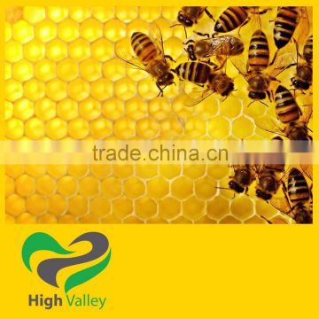 The best Pure Natural Honey - High quality - Best price for bulk