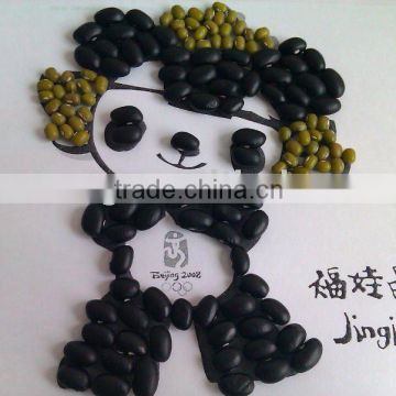 Black Kidney Bean( New crop ,Heilongjiang Origin,hps quality)
