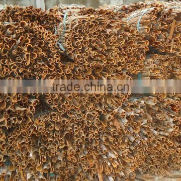 Vietnam split Cassia best quality