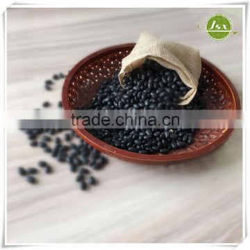 JSX Agriculture Black Kidney Beans New Types Of Beans For Sale