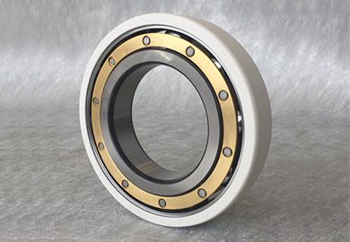 F-801813. Tr1 Insulated Insocoat Bearings Used in High Power Frequency Conversion Motors in Cranes, Textile Machines,