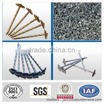 umbrella head roofing nails from manufacture in china