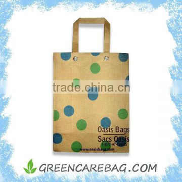 Paper Laminated PP Woven Bag