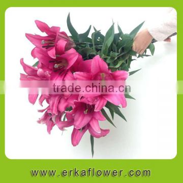 Wholesale Good Quality 2016 Fashion Fresh cut Lily made in china